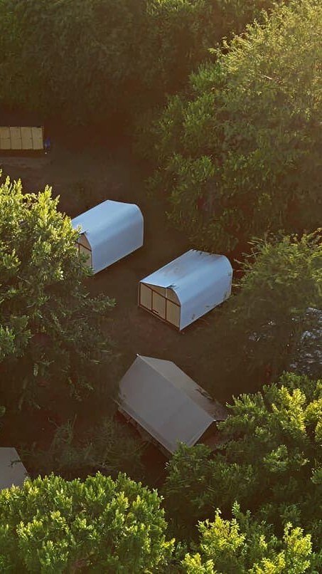 Tents pitched between the trees, seen from above