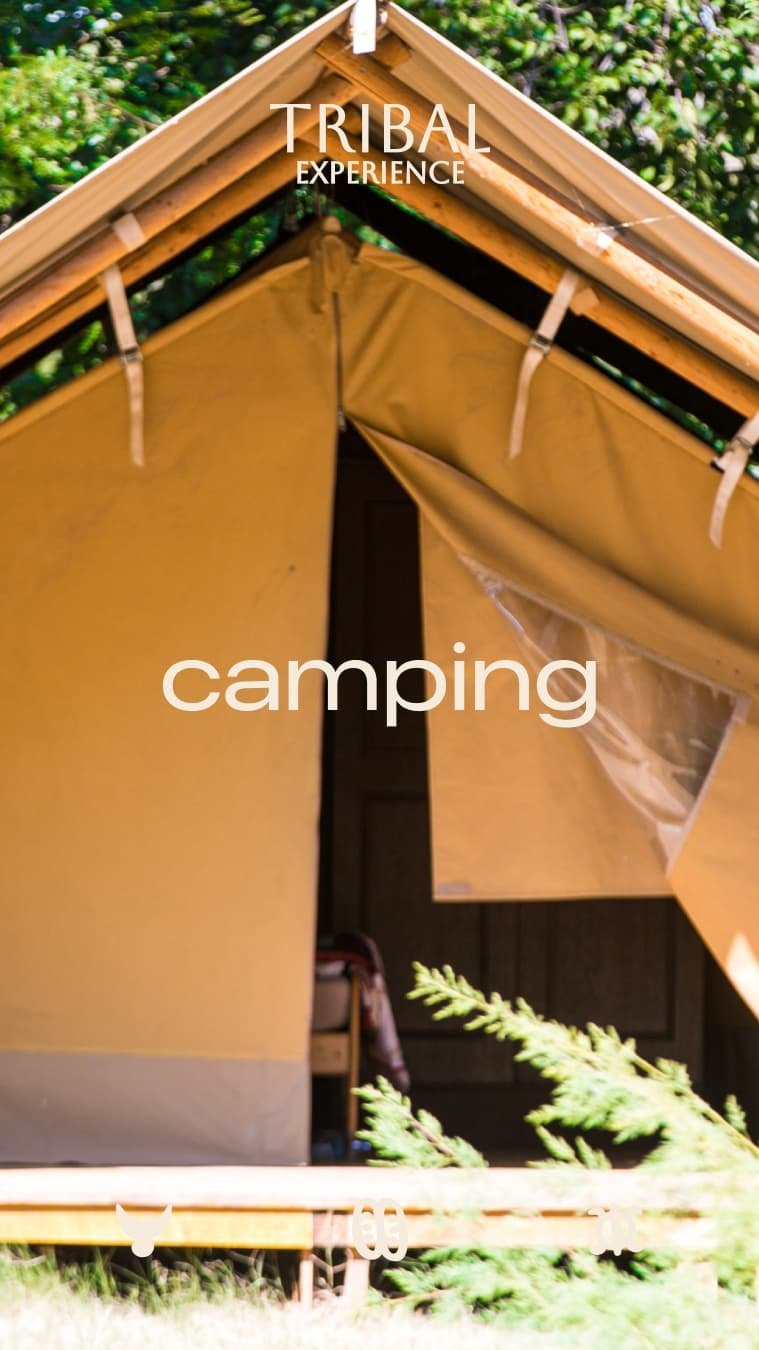 A glamping tent under the trees