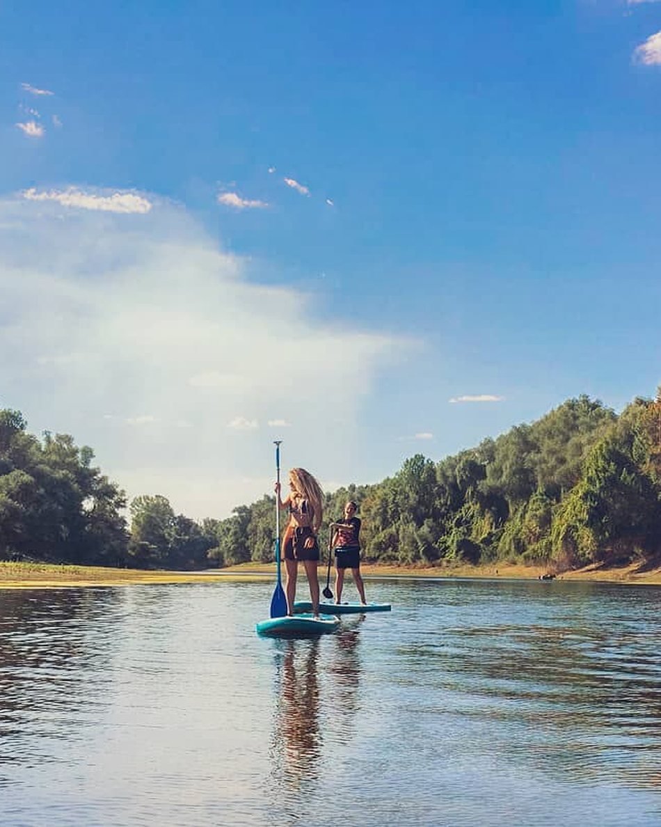 Paddle boards out on the Danube